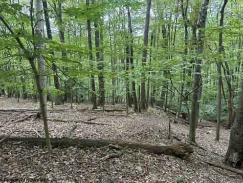 0 Racoon Run Elkins WV 26241