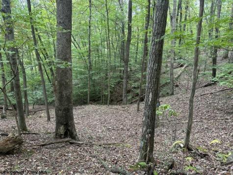 0 Racoon Run Elkins WV 26241