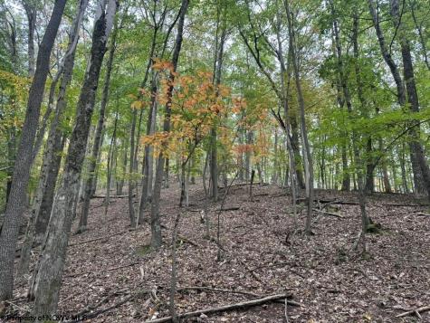 0 Racoon Run Elkins WV 26241