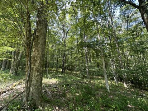106 Lakeview Drive Terra Alta WV 26764