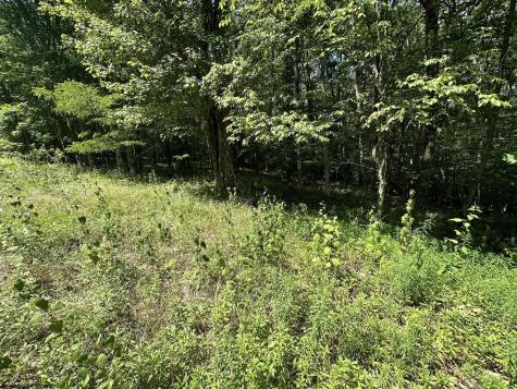 106 Lakeview Drive Terra Alta WV 26764