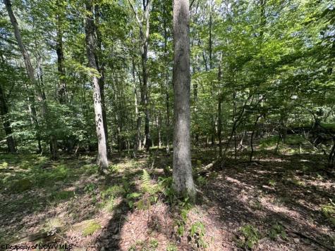 106 Lakeview Drive Terra Alta WV 26764