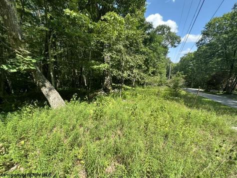 106 Lakeview Drive Terra Alta WV 26764
