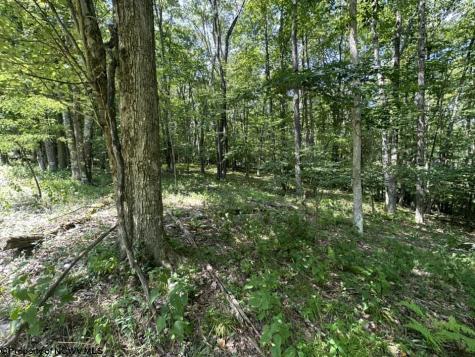 106 Lakeview Drive Terra Alta WV 26764