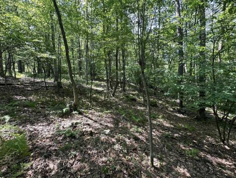 106 Lakeview Drive Terra Alta WV 26764