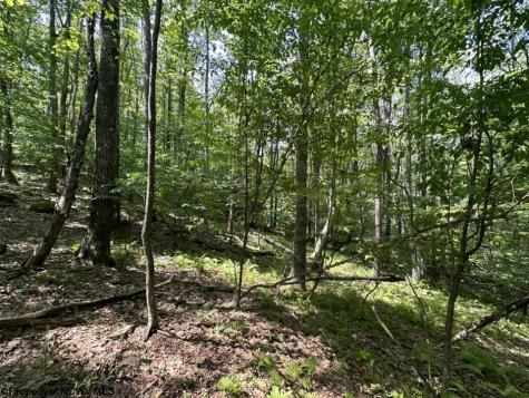 106 Lakeview Drive Terra Alta WV 26764