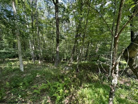 106 Lakeview Drive Terra Alta WV 26764