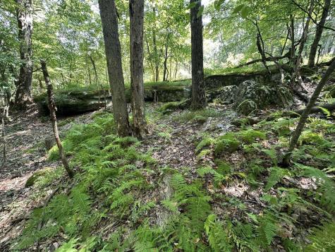 106 Lakeview Drive Terra Alta WV 26764