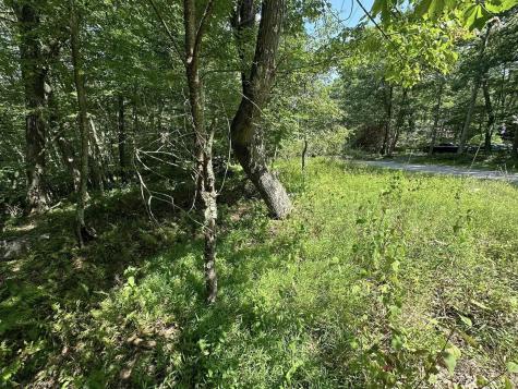 106 Lakeview Drive Terra Alta WV 26764