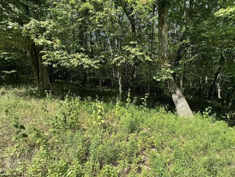 106 Lakeview Drive Terra Alta WV 26764