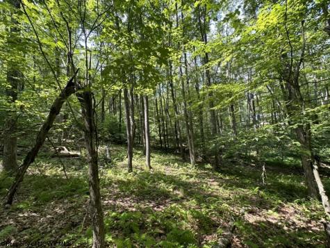 106 Lakeview Drive Terra Alta WV 26764