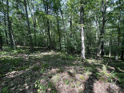 106 Lakeview Drive Terra Alta WV 26764