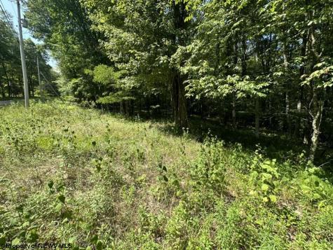 106 Lakeview Drive Terra Alta WV 26764
