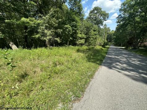 106 Lakeview Drive Terra Alta WV 26764