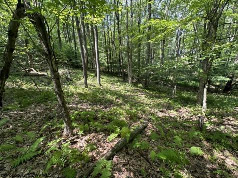 106 Lakeview Drive Terra Alta WV 26764