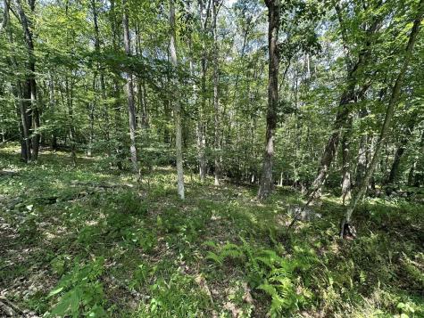 106 Lakeview Drive Terra Alta WV 26764