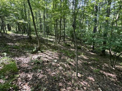 106 Lakeview Drive Terra Alta WV 26764