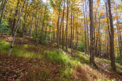 110 Fern Lane Davis WV 26260