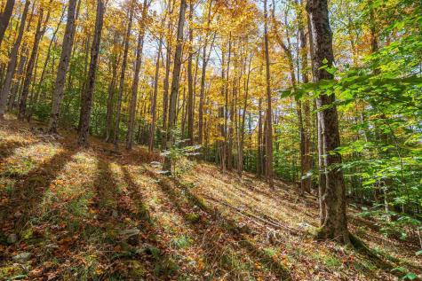 110 Fern Lane Davis WV 26260