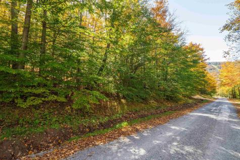 110 Fern Lane Davis WV 26260