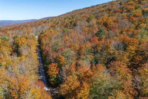 110 Fern Lane Davis WV 26260