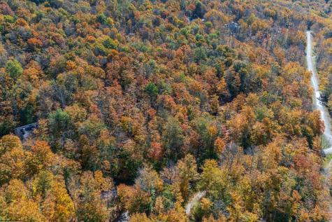 110 Fern Lane Davis WV 26260