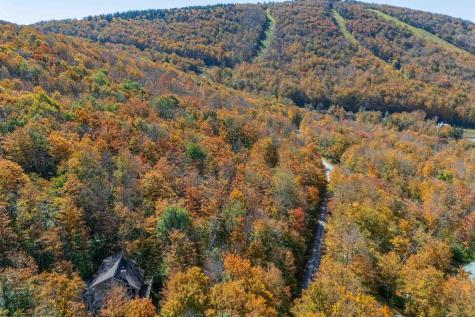 110 Fern Lane Davis WV 26260