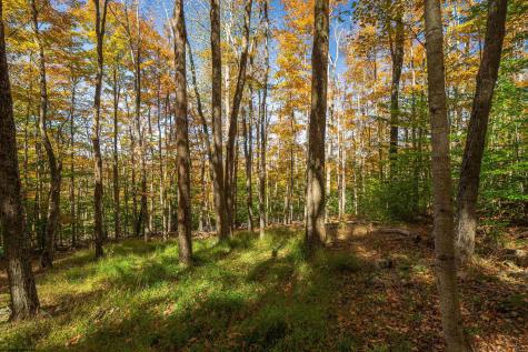 110 Fern Lane Davis WV 26260