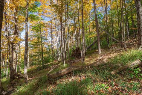 110 Fern Lane Davis WV 26260