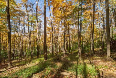 110 Fern Lane Davis WV 26260