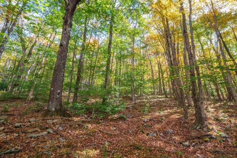 110 Fern Lane Davis WV 26260