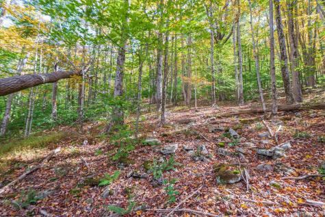 110 Fern Lane Davis WV 26260