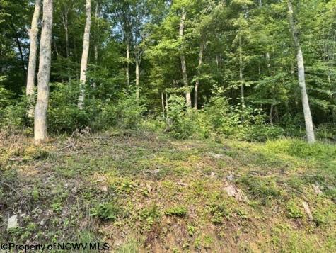 0 Wildwood Lake Morgantown WV 26508