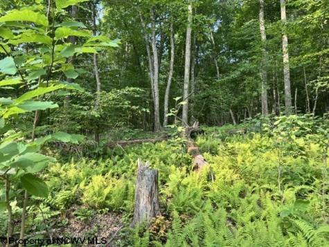 0 Wildwood Lake Morgantown WV 26508