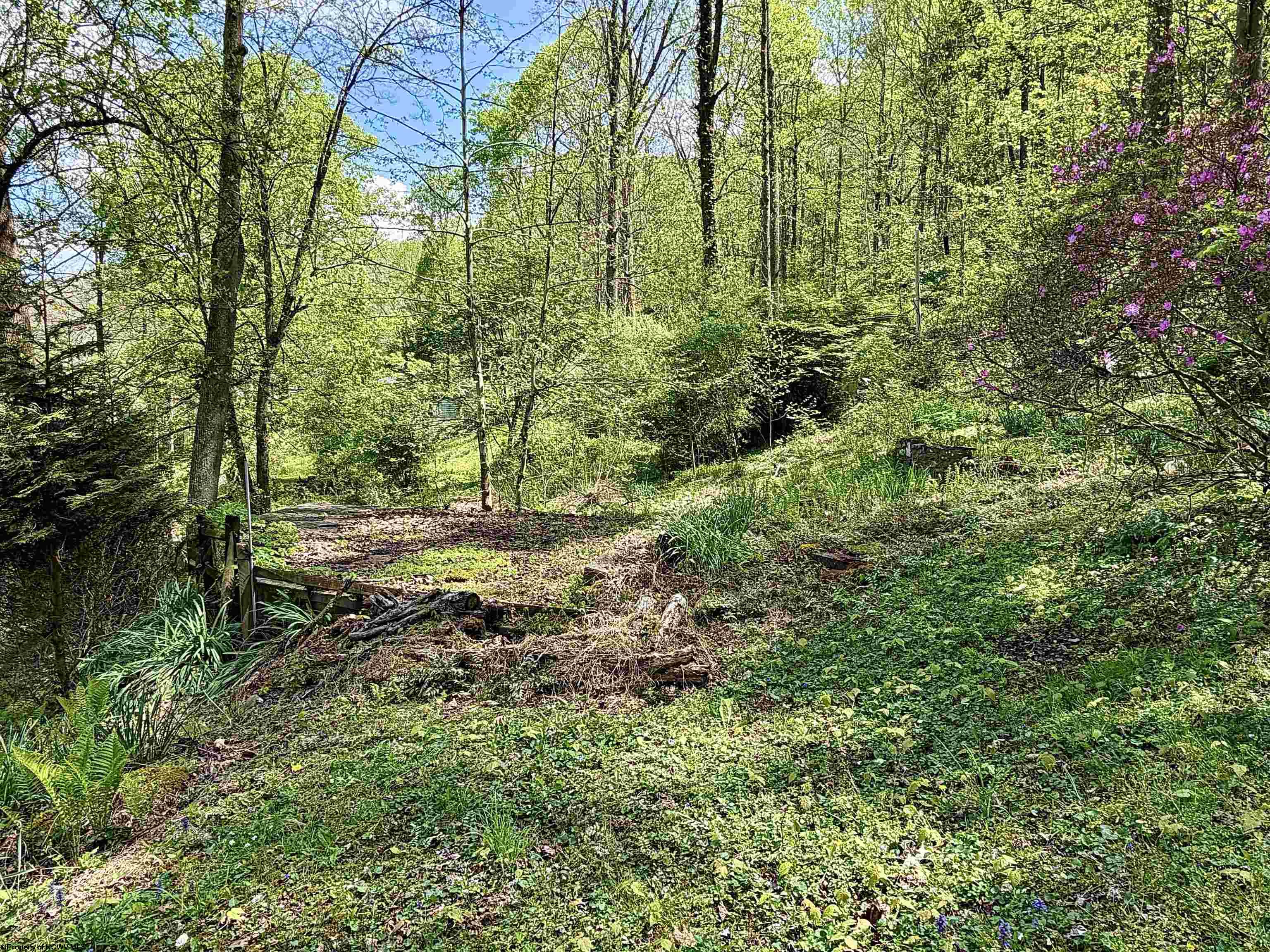94 Crystal Lake West Union WV 26456