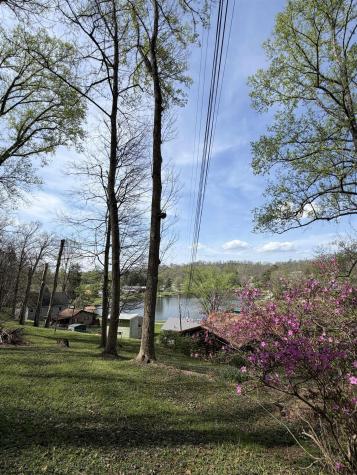 94 Crystal Lake West Union WV 26456