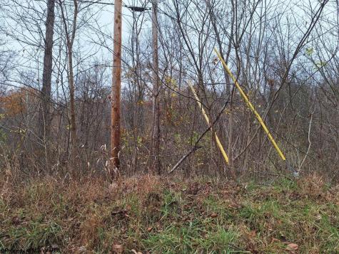 0 Jack Run Road Bridgeport WV 26330