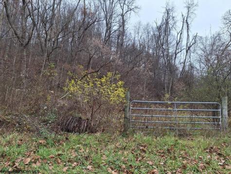 0 Jack Run Road Bridgeport WV 26330