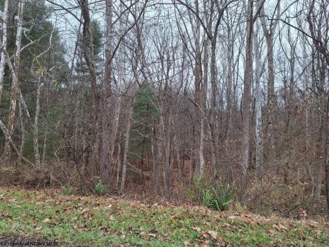 0 Jack Run Road Bridgeport WV 26330