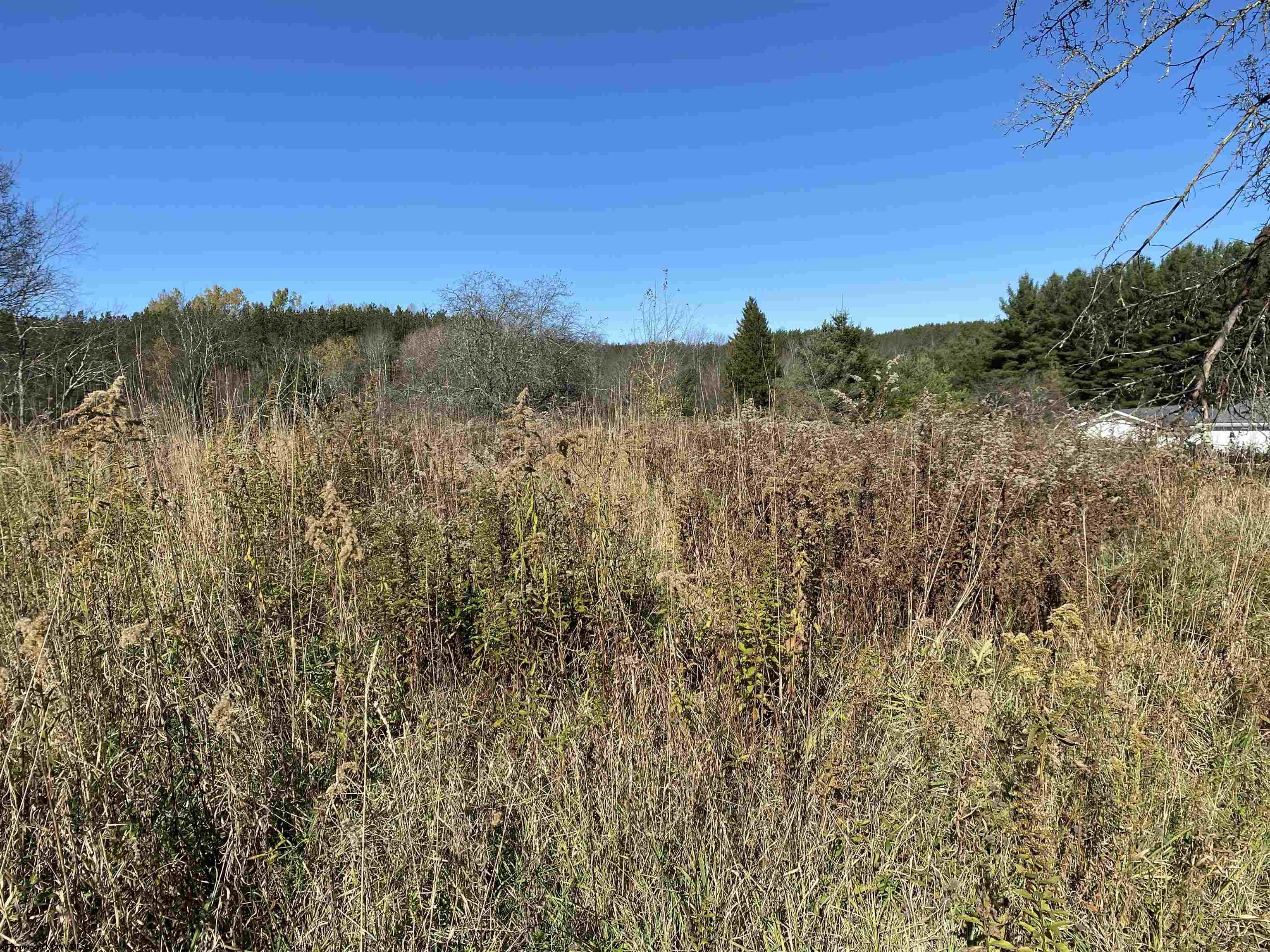 346 Fairfax Avenue Davis WV 26260