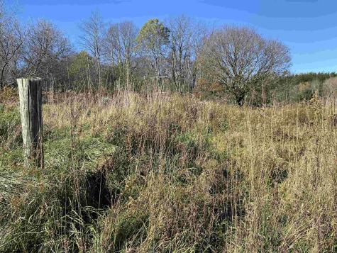 346 Fairfax Avenue Davis WV 26260