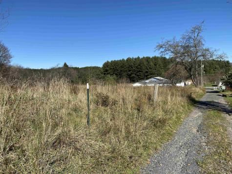 346 Fairfax Avenue Davis WV 26260