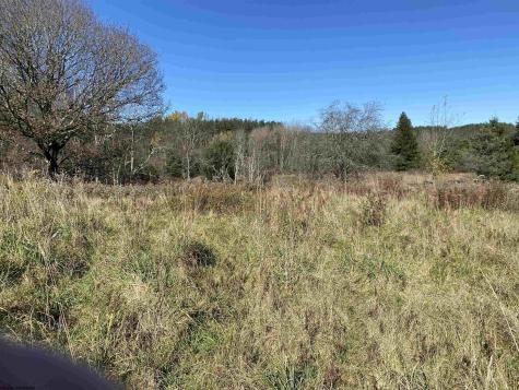 346 Fairfax Avenue Davis WV 26260