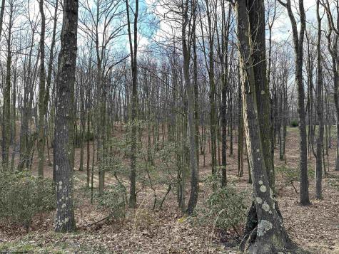 30 Laurel View Road Morgantown WV 26508