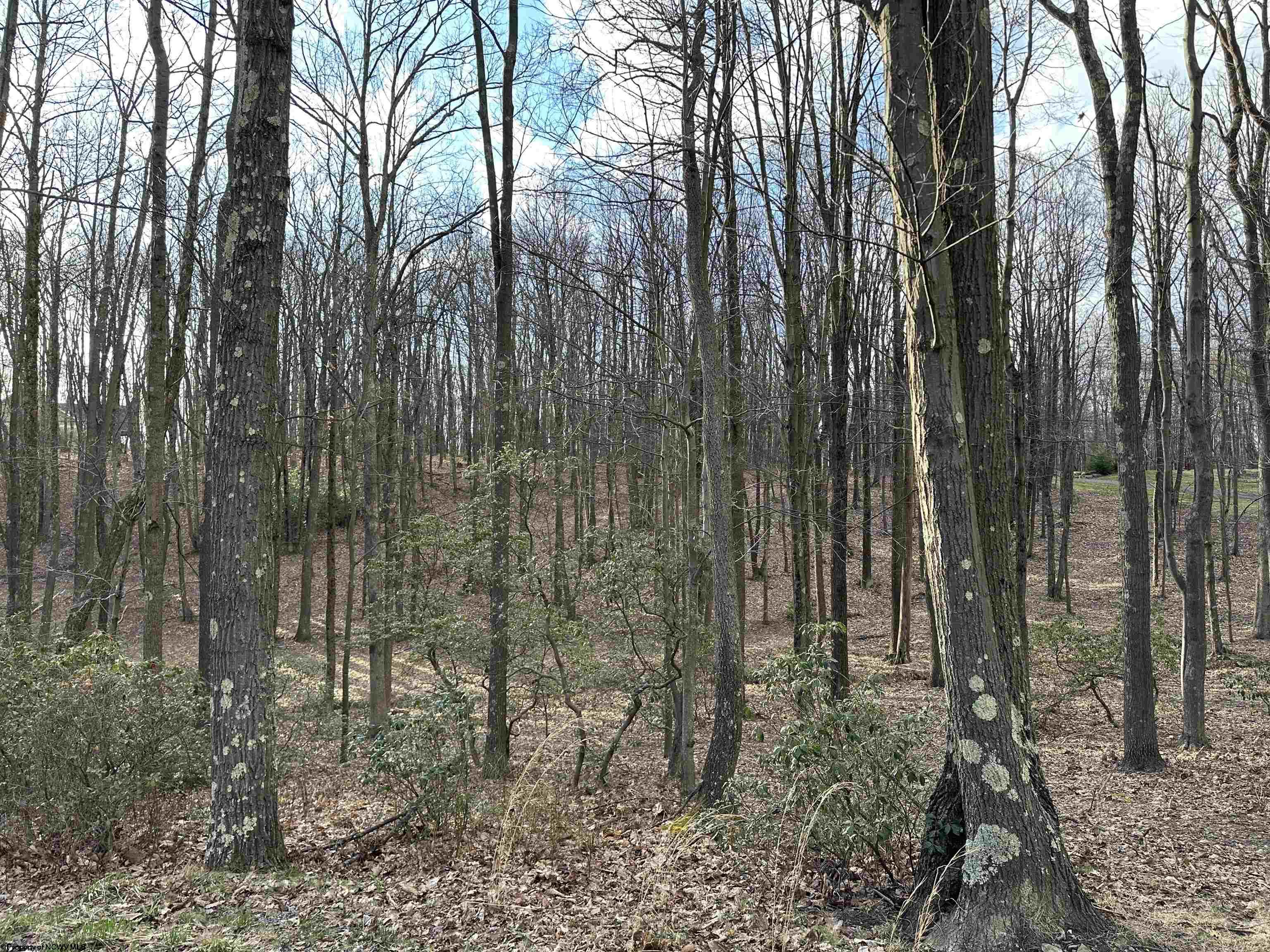 30 Laurel View Road Morgantown WV 26508
