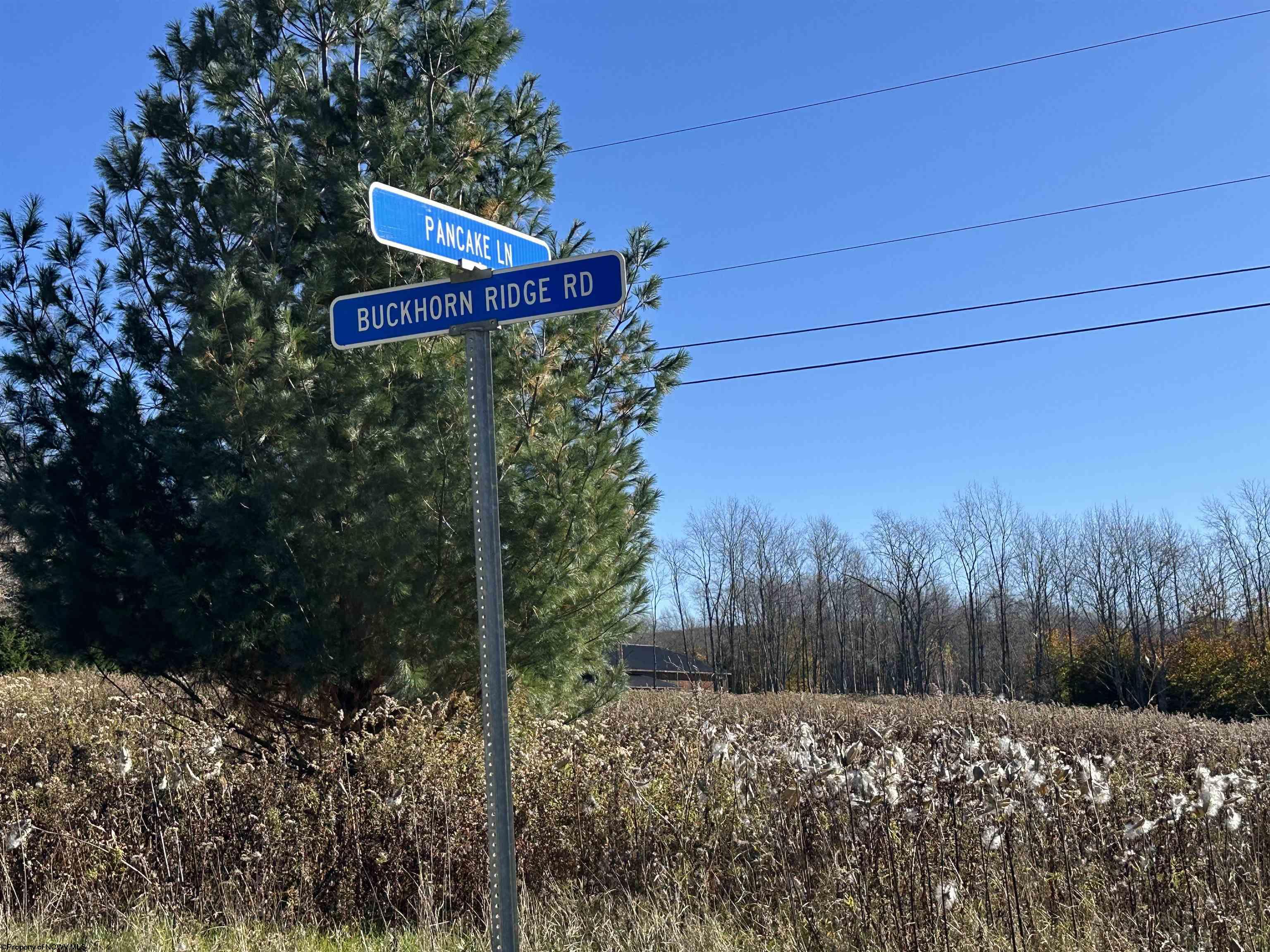 0 Pancake Lane Davis WV 26260