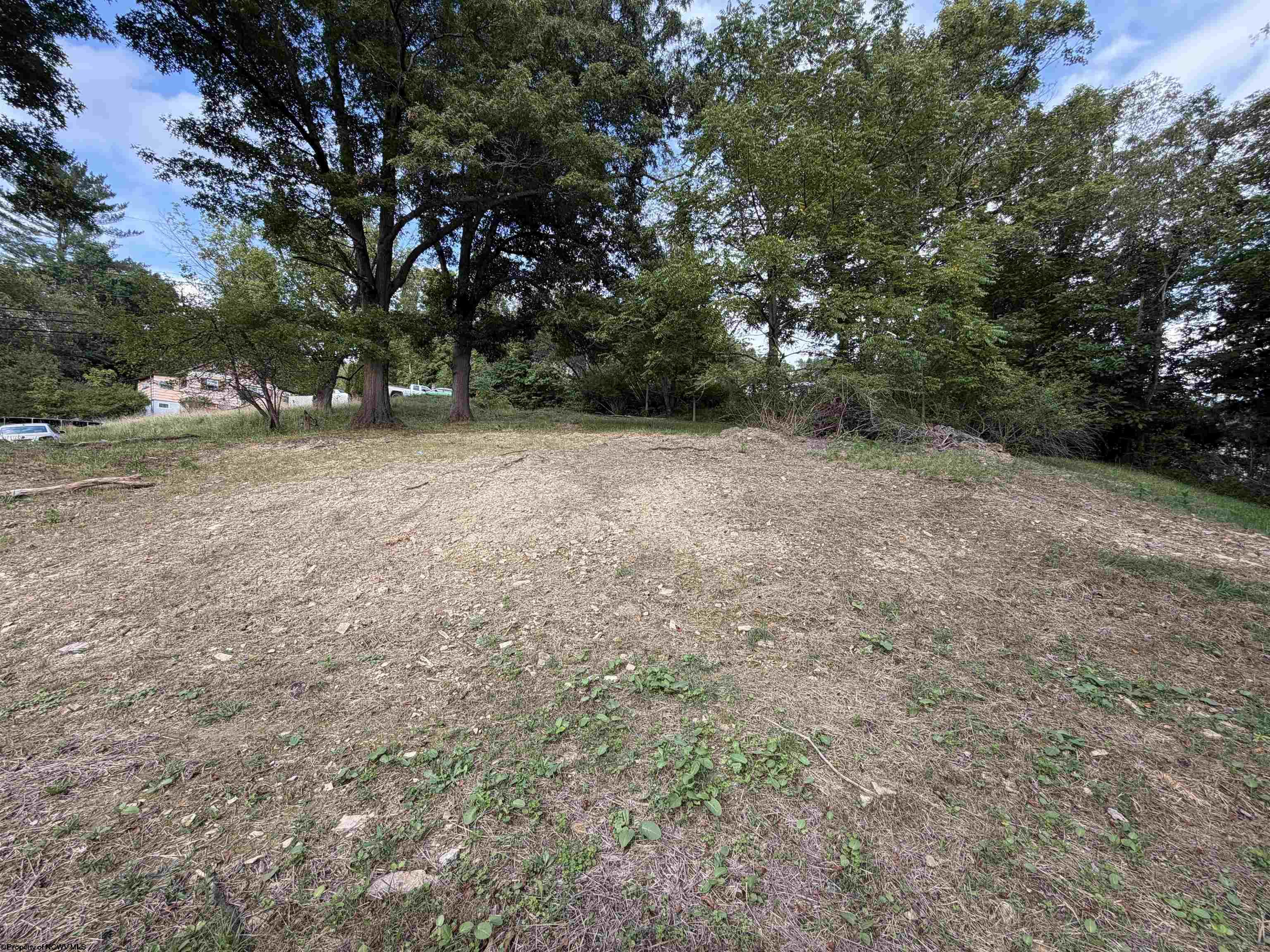 12 Paul Street Elkins WV 26241