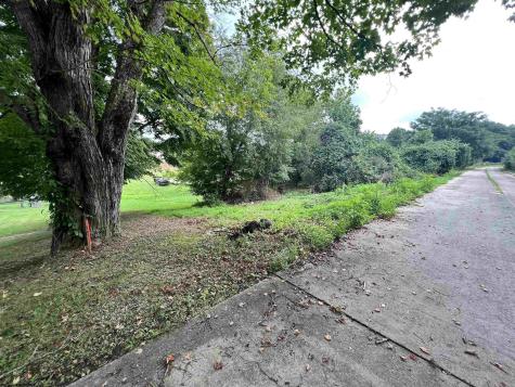 Lot 47 Birch Street Grafton WV 26354