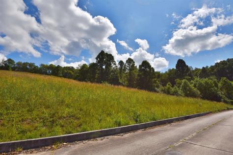 47 Birch Street Grafton WV 26354