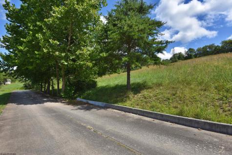 47 Birch Street Grafton WV 26354
